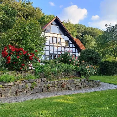 Am Beutling Mit Fernblick