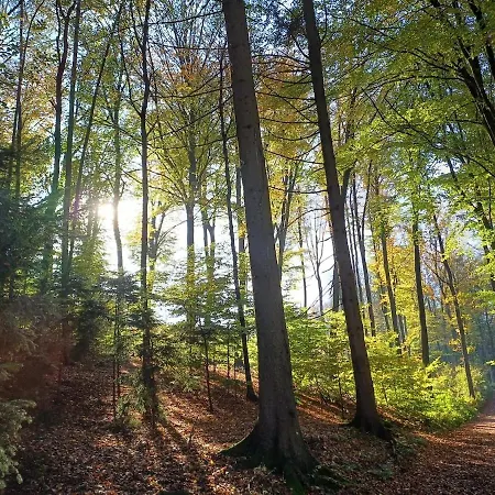 Am Beutling Mit Fernblick *
